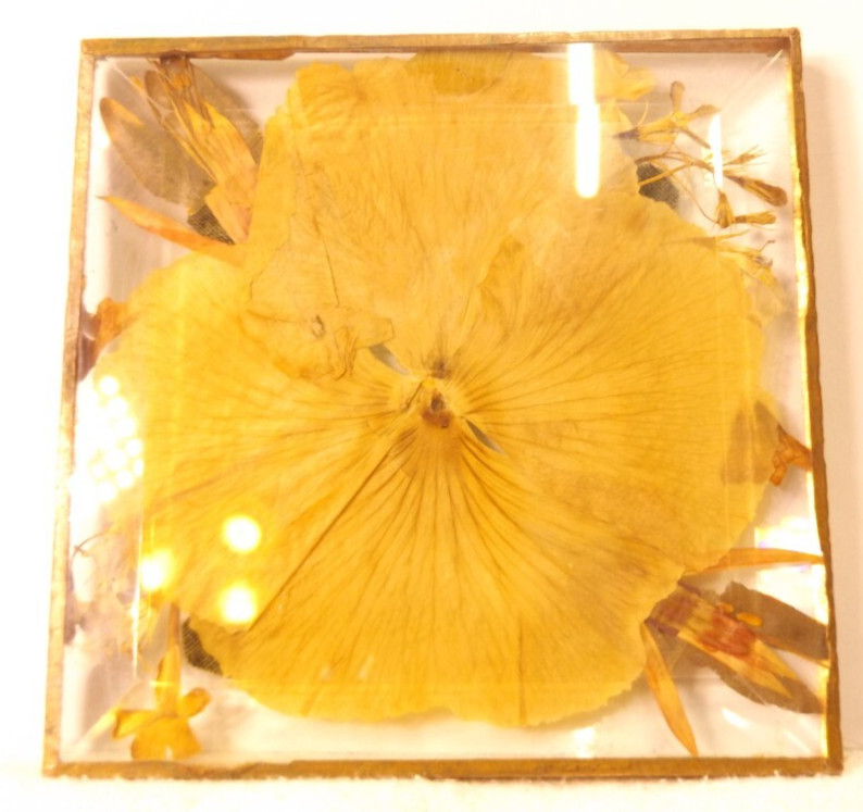 Snapdragon Pacific Paper Pressed Flower Decor Coaster 4”x4”