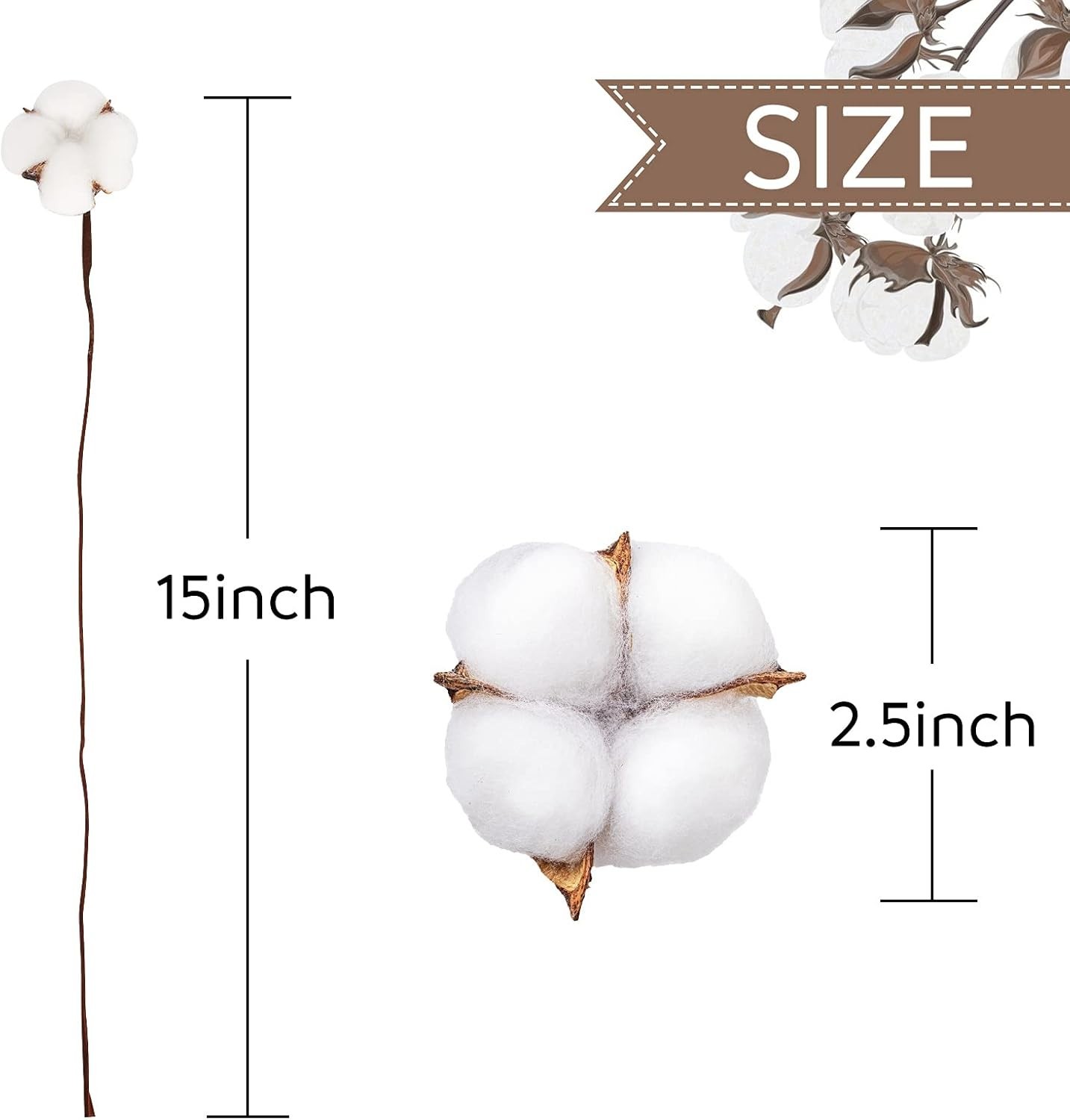 “DomeStar 30PCS Natural Dried Cotton Stems 15″” Tall, Rustic Cotton Sprigs for V