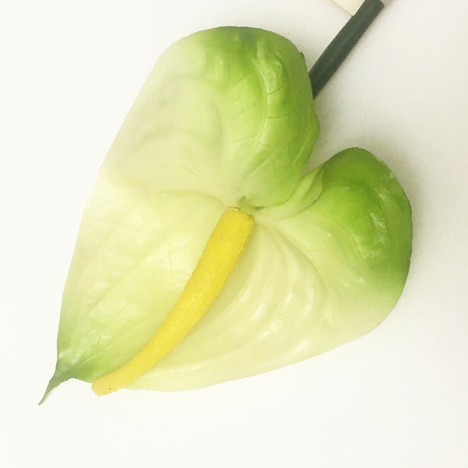 Realistic 21″ GREEN White Anthurium Stem Flower Floral Tropical Artificial Fake