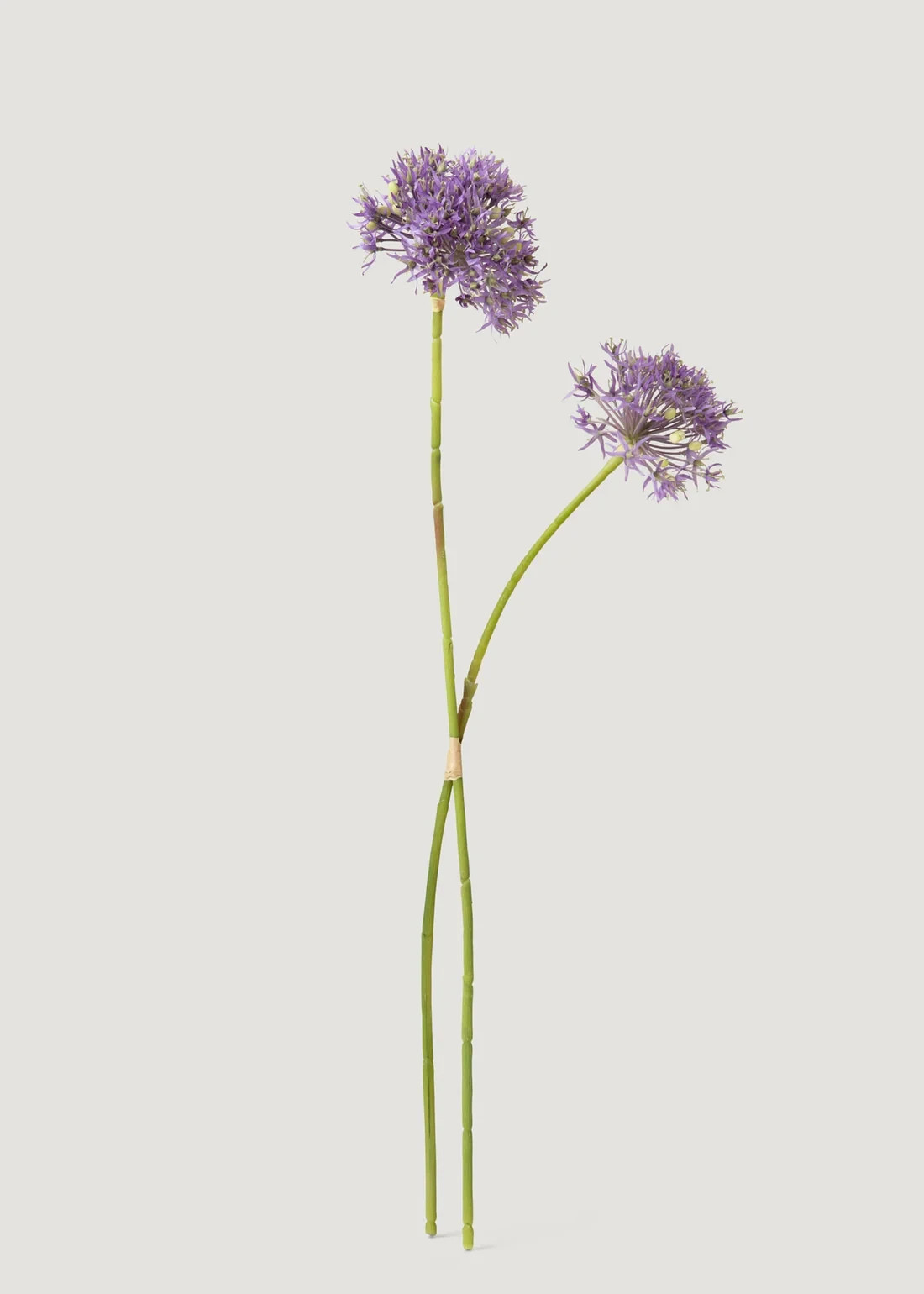 Artificial Allium Wildflower Bundle in Lavender – 30″