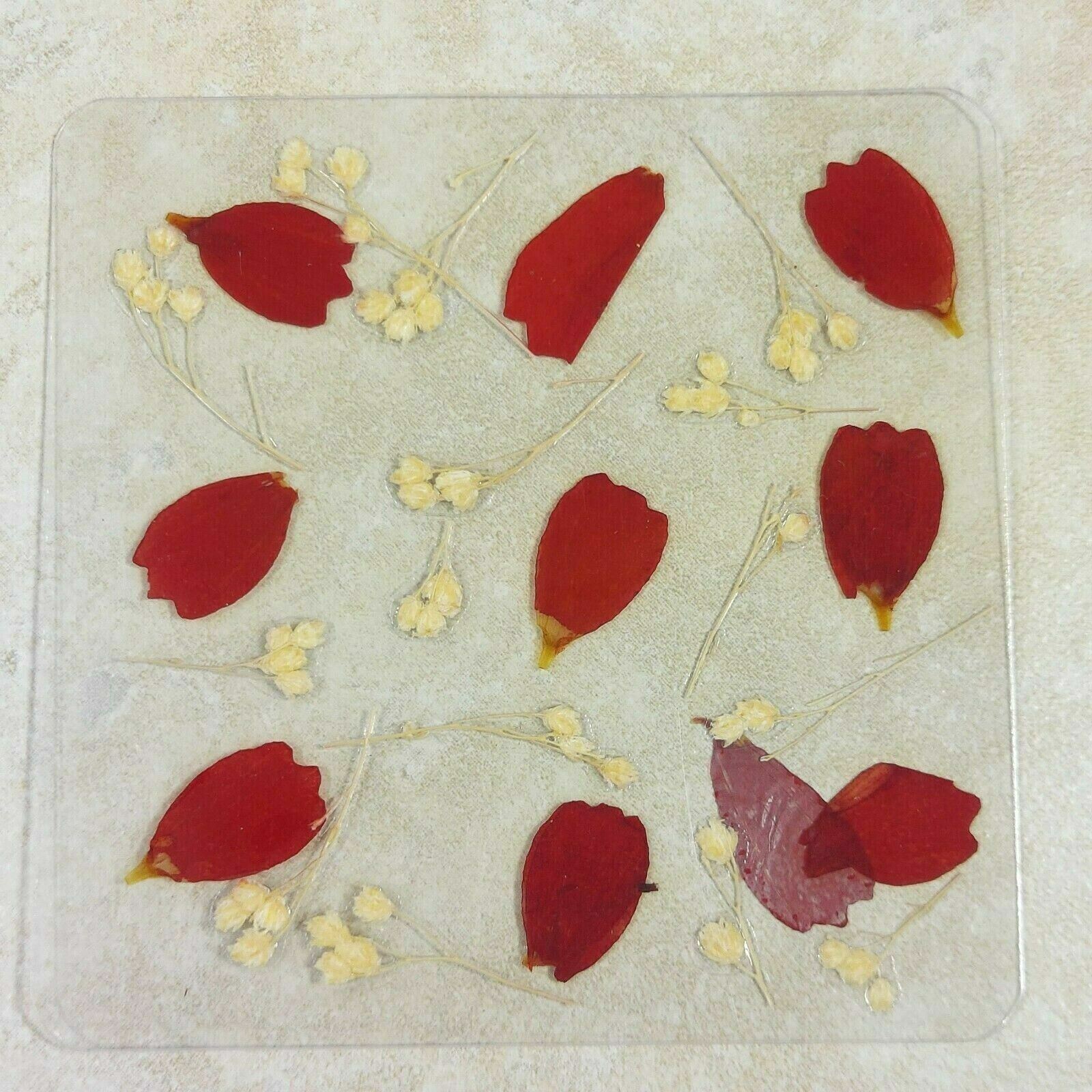 Dried Pressed Flowers Natural Flower Petal Set Resin Art Design Home Décor Gift
