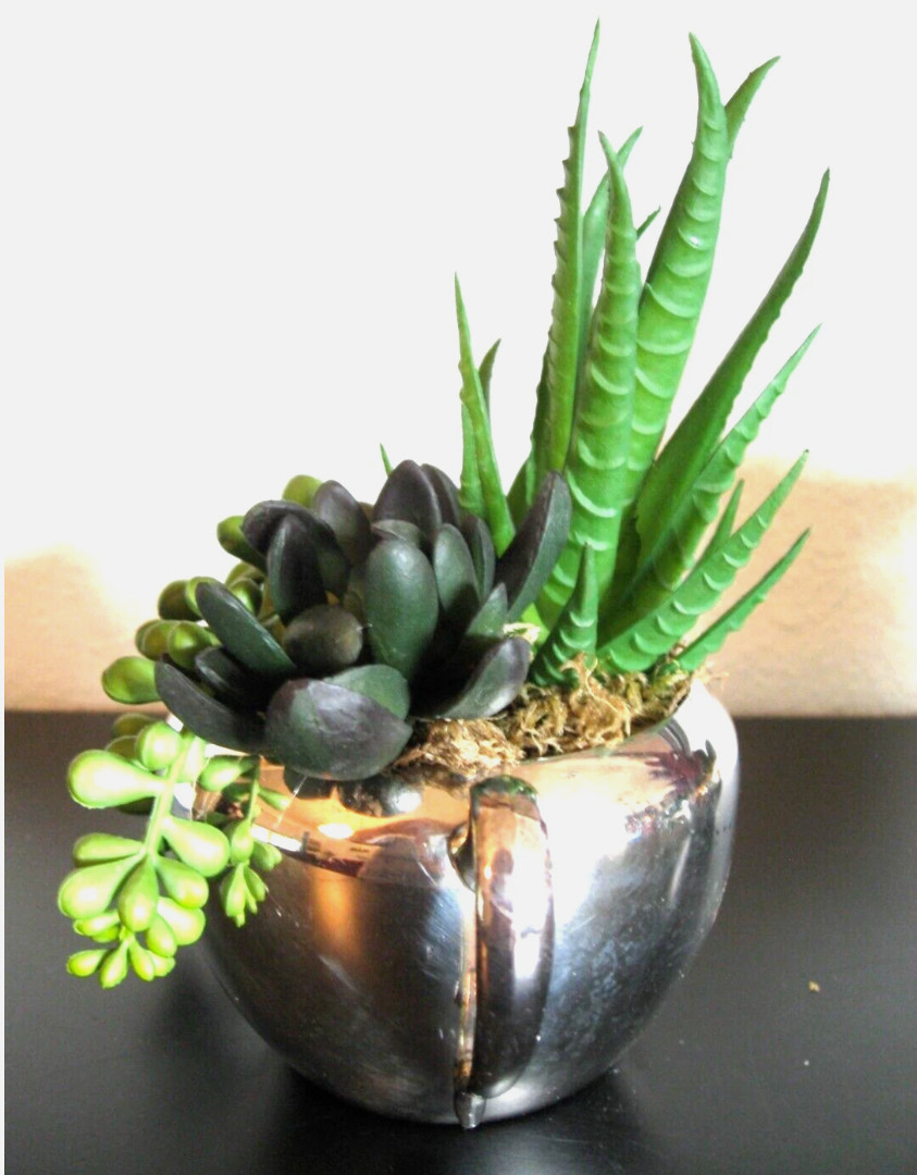 House Plant – Home Decor, Nice, Beautiful, Faux, Fake Sedum MCM Containers