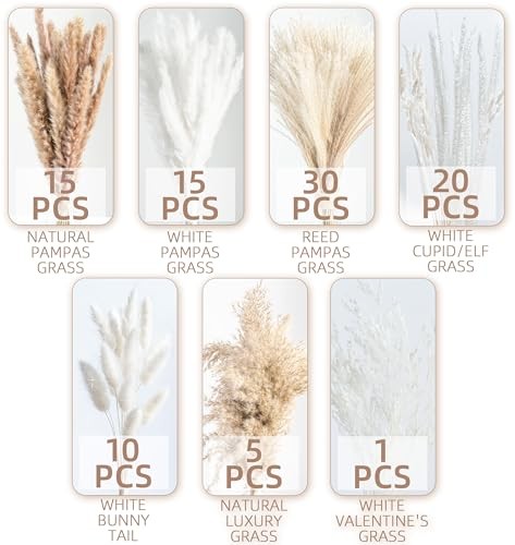 96PCS Natural Dried Pampas Grass Boho Home Decor 96PCS+NO ADDITIONAL ITEMS