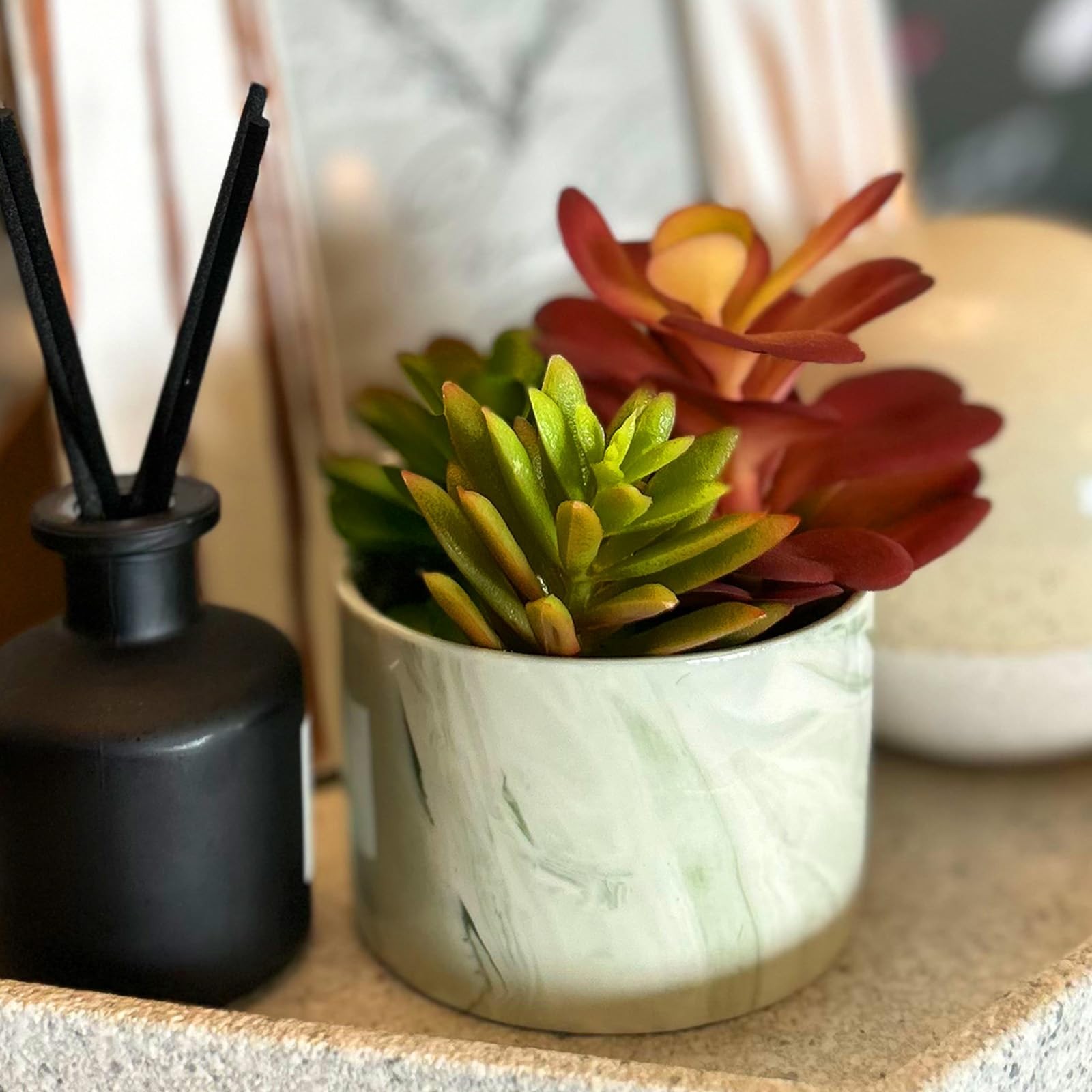 Artificial Plants Cute Colourful Succulents in Ceramic Planter Fake Plant Flower