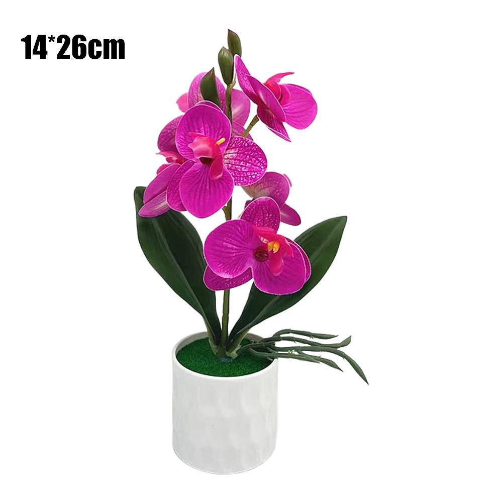 Realistic Phalaenopsis Orchid Potted Flower Set of 6 for Various Spaces