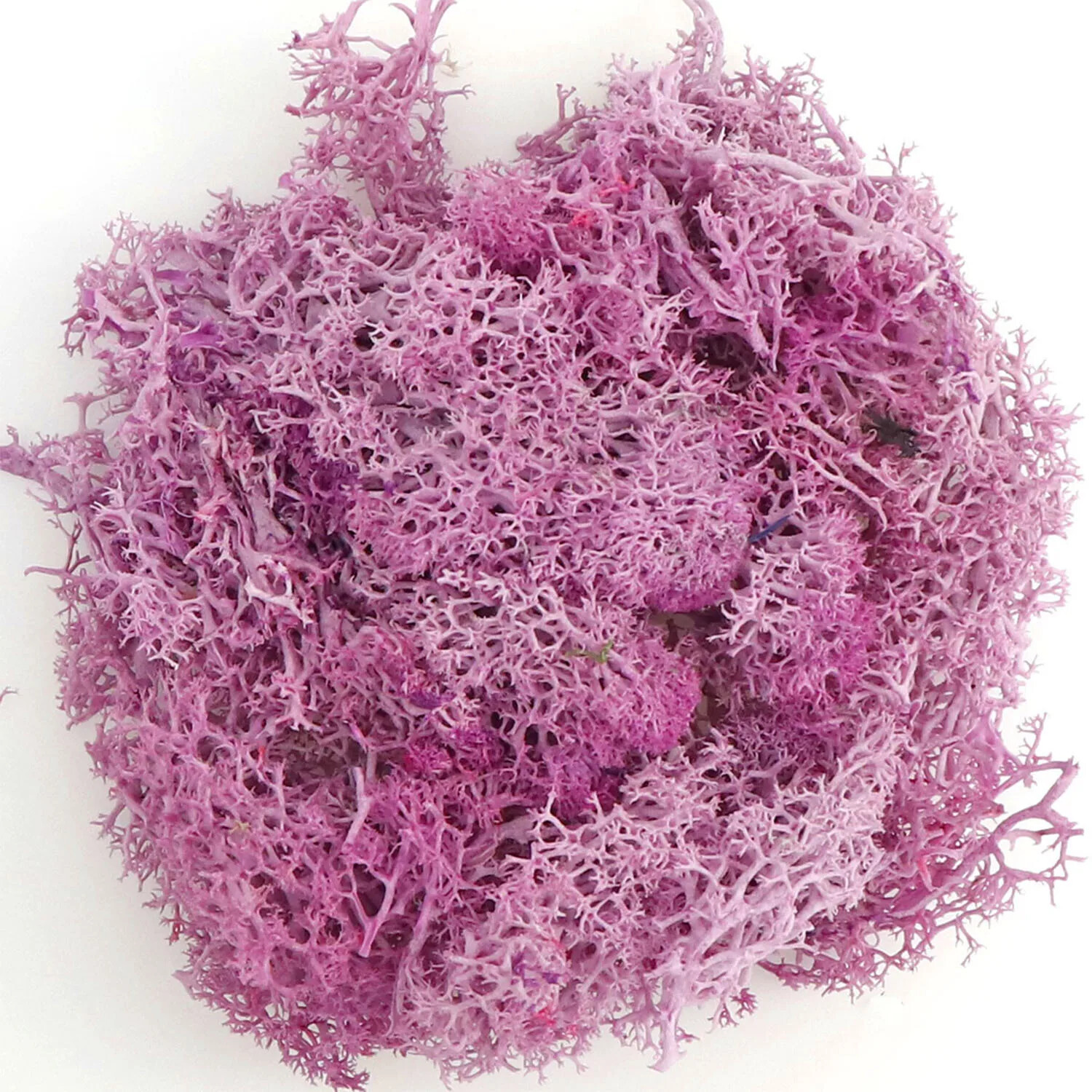 20g Artificial Green Moss Plants Fake Grass Eternal Life Grass Mini Landscape