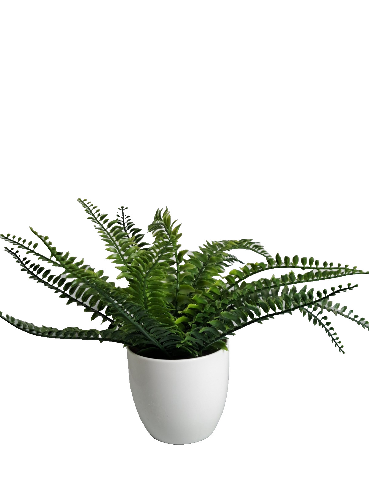Artificial Decorative Faux Boston Fern 4″ Potted Plant