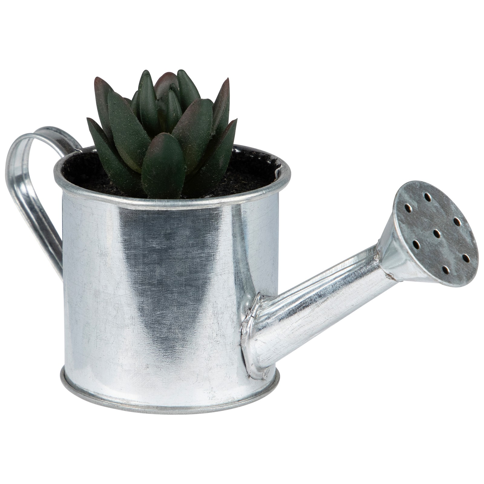 Northlight 4� Tropical Green Mini Artificial Pachyveria Succulent Tin Water Can