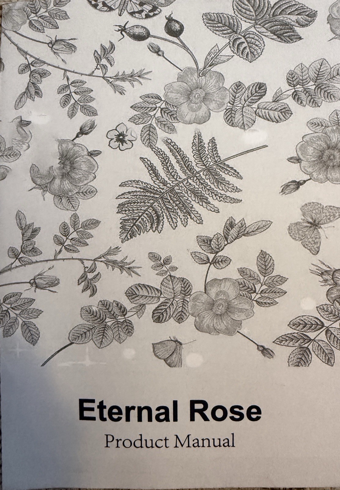 Eternal Rose Preserved Flower in Glass Display Case – New in Box Gift