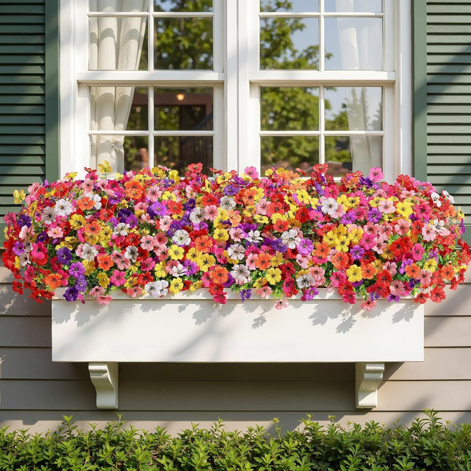 Colorful UV Resistant Daisy Plants – 24 Bundles for Indoor and Outdoor Decor