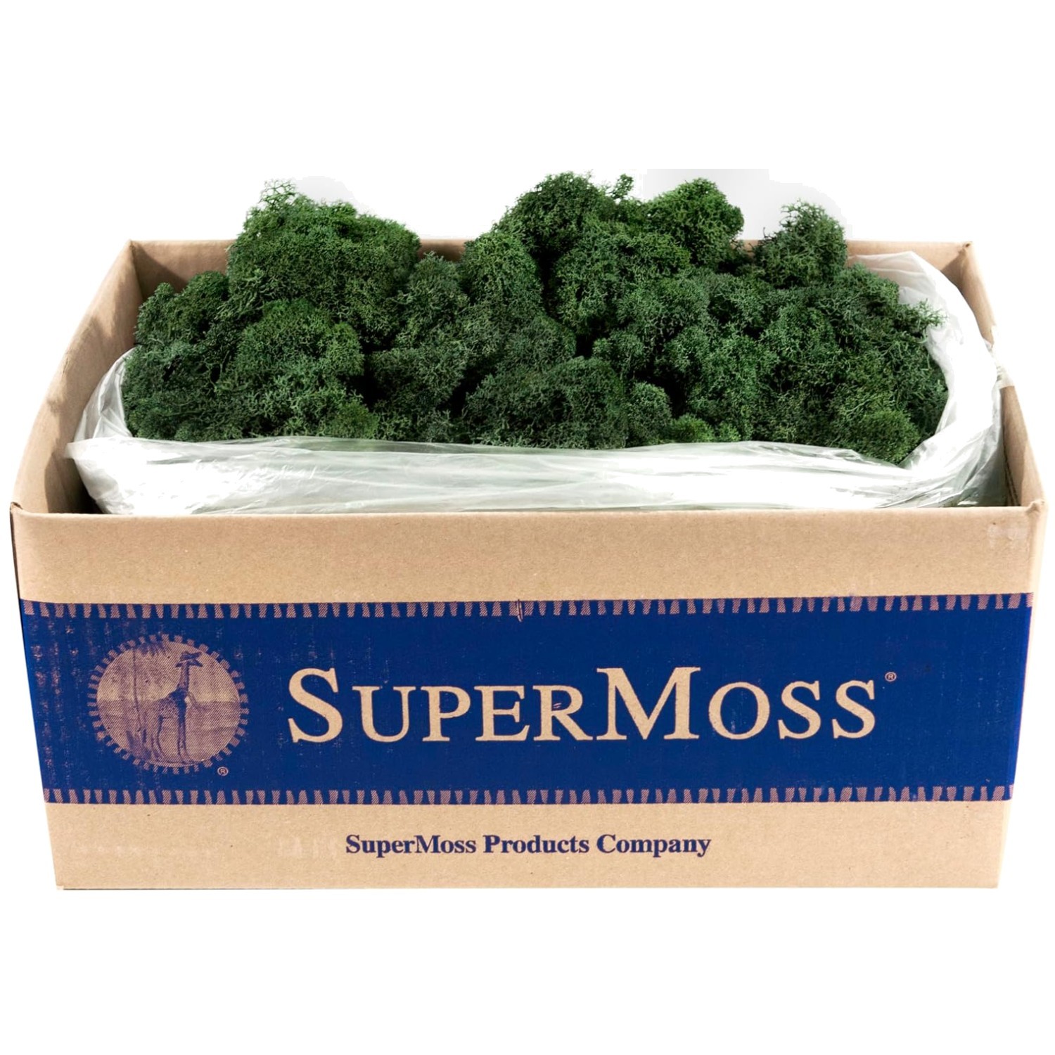 Long Lasting Preserved Moss, Forest Green, 3lbs