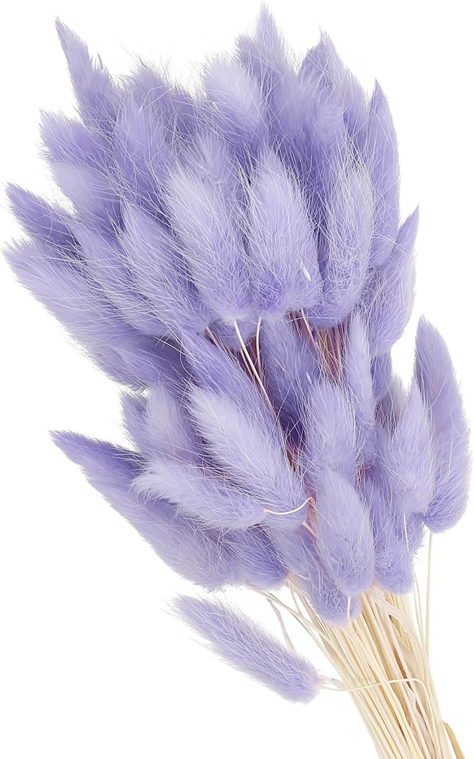 15.7In Bunny Tails Dried Flowers, 80Pcs Pampas Grass Decor Rabbit Tail Natural P