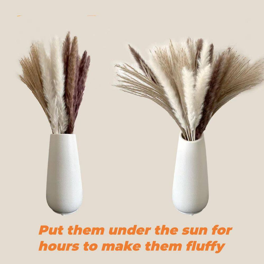 4.02 in 300 Pcs Boho Dried Pampas Grass Bouquet in White Brown Natural Colors Ar