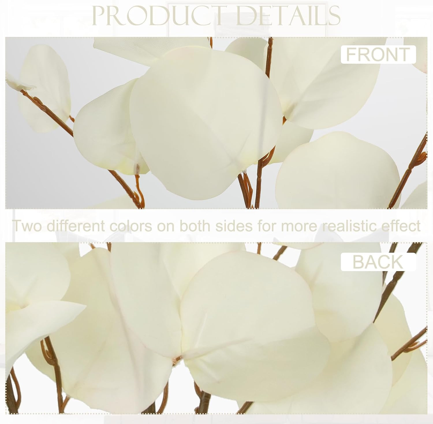 Cream White Eucalyptus Stems Fake Eucalyptu Leaves 34” Long Silver Dollar Lea…