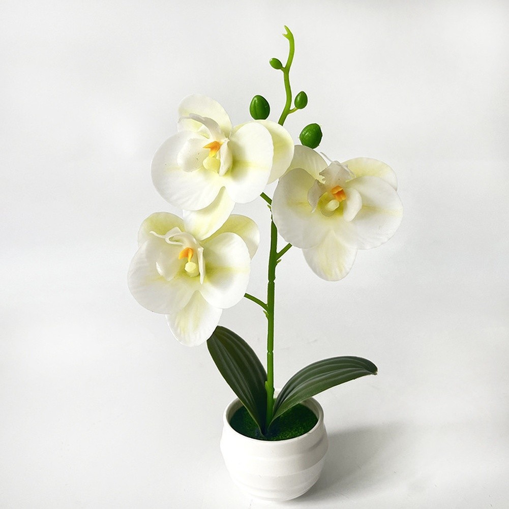 24cm Tall Artificial Phalaenopsis in Pot Nordic Aesthetic for Living Room Decor