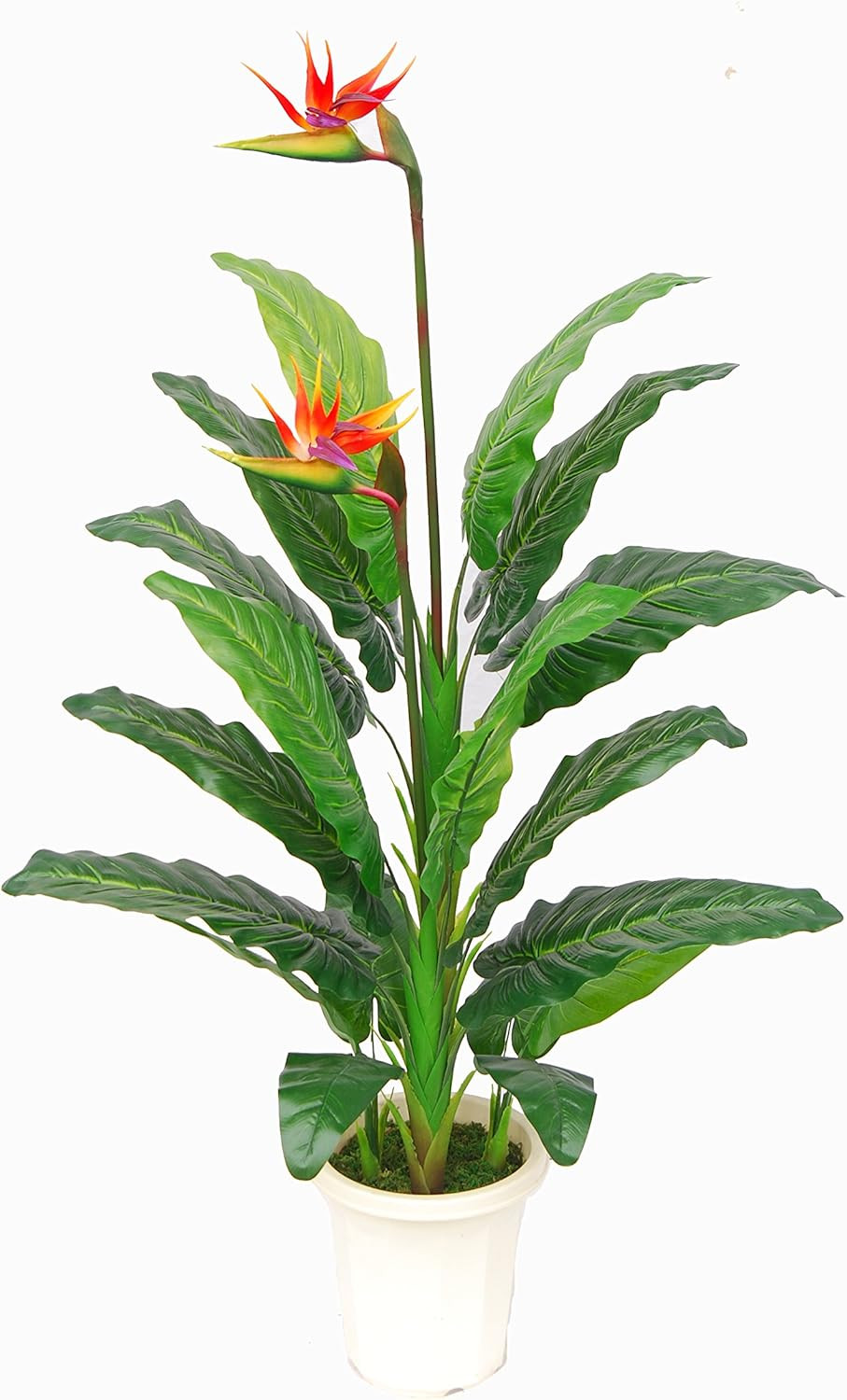 Stunning 5′ Paradise Bird Flower Plant – Real Touch, UV Protected, Indoor/Outdoo