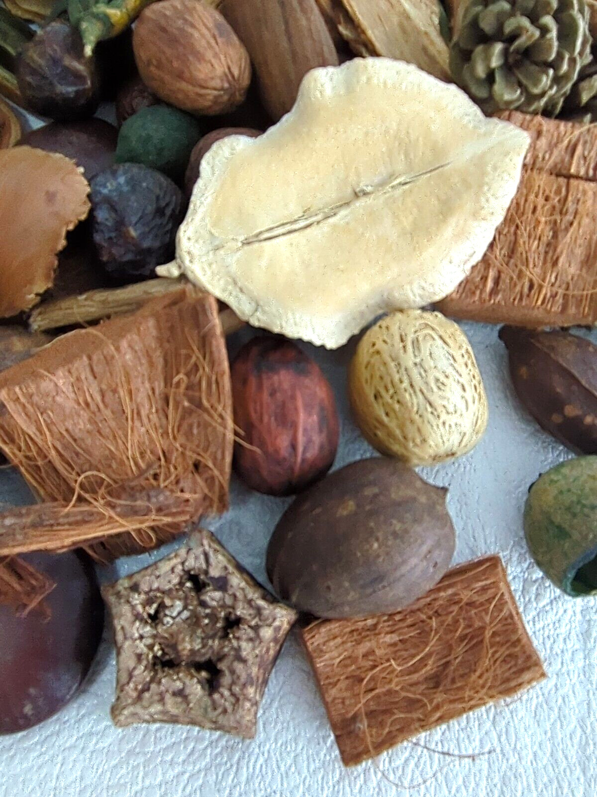 Dried Pods Bamboo Seeds Coconut Husk Table Scatter Crafts Wreaths Vase Filler