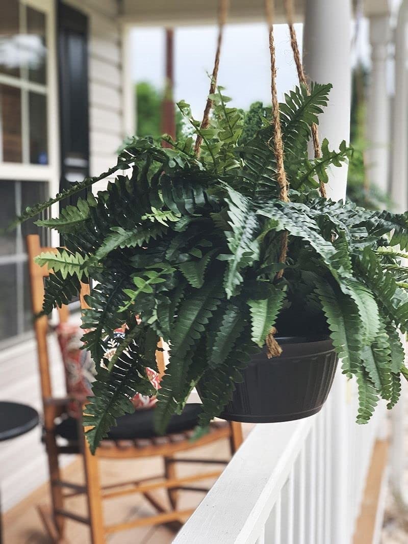 One Designer Quality 50 Inch Spread 92 Branch Artificial Silk Boston Fern Bus…