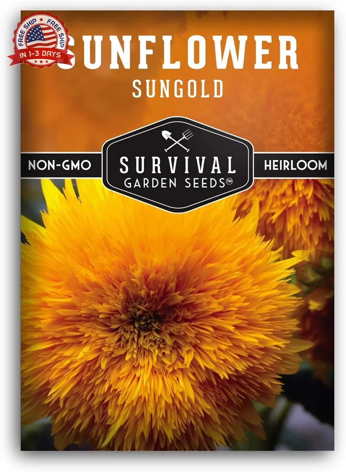 Sungold Teddy Bear Sunflower Seeds for Planting – Dwarf Flower with Fluffy Pom-P