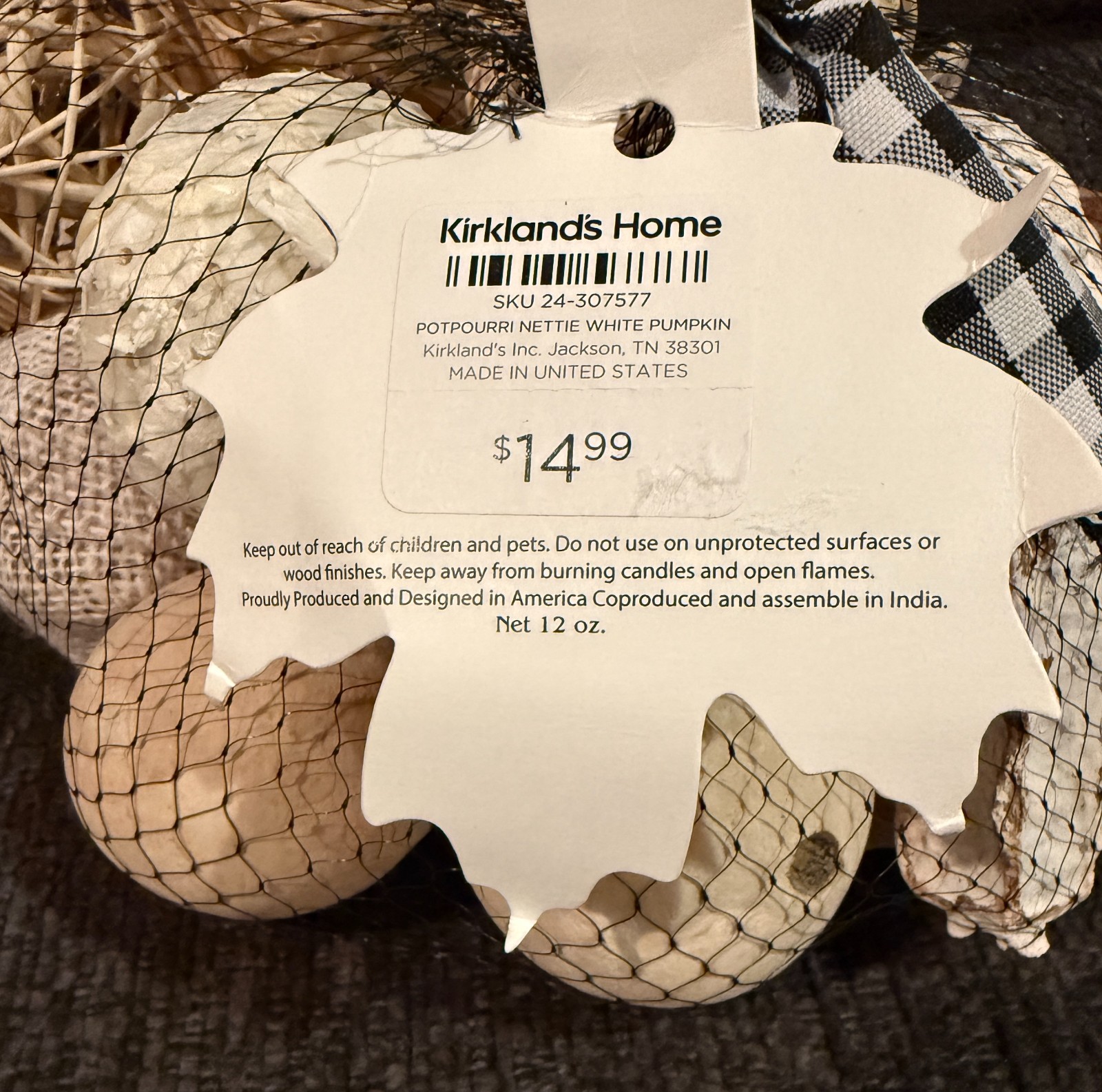 NEW Fall Decor White Pumpkin Vanilla Fragranced Botanicals Kirkland’s Home