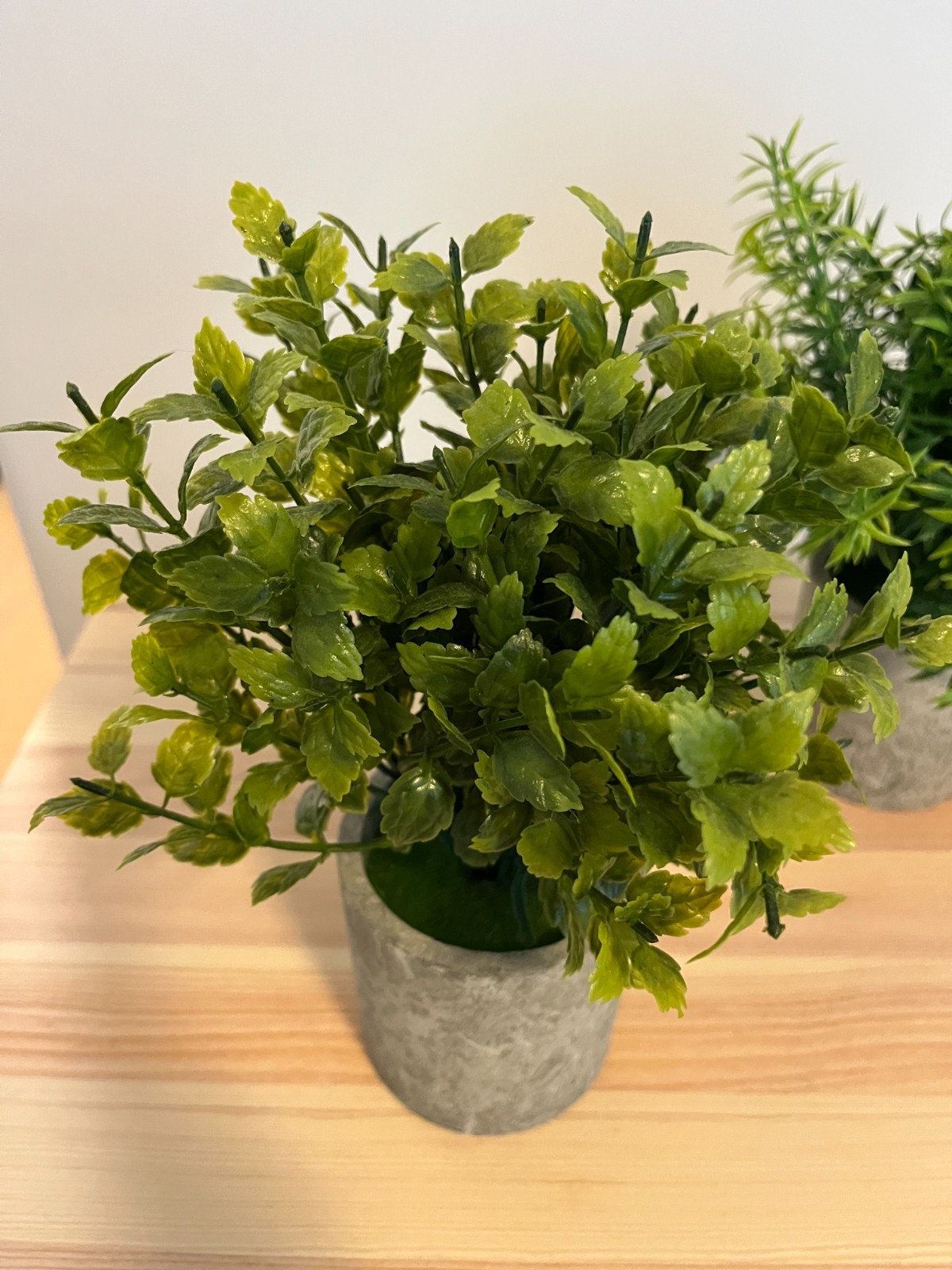 Memeaty Set of 5 Small Artificial Plants | Fake Rosemary Peppermint Succulents
