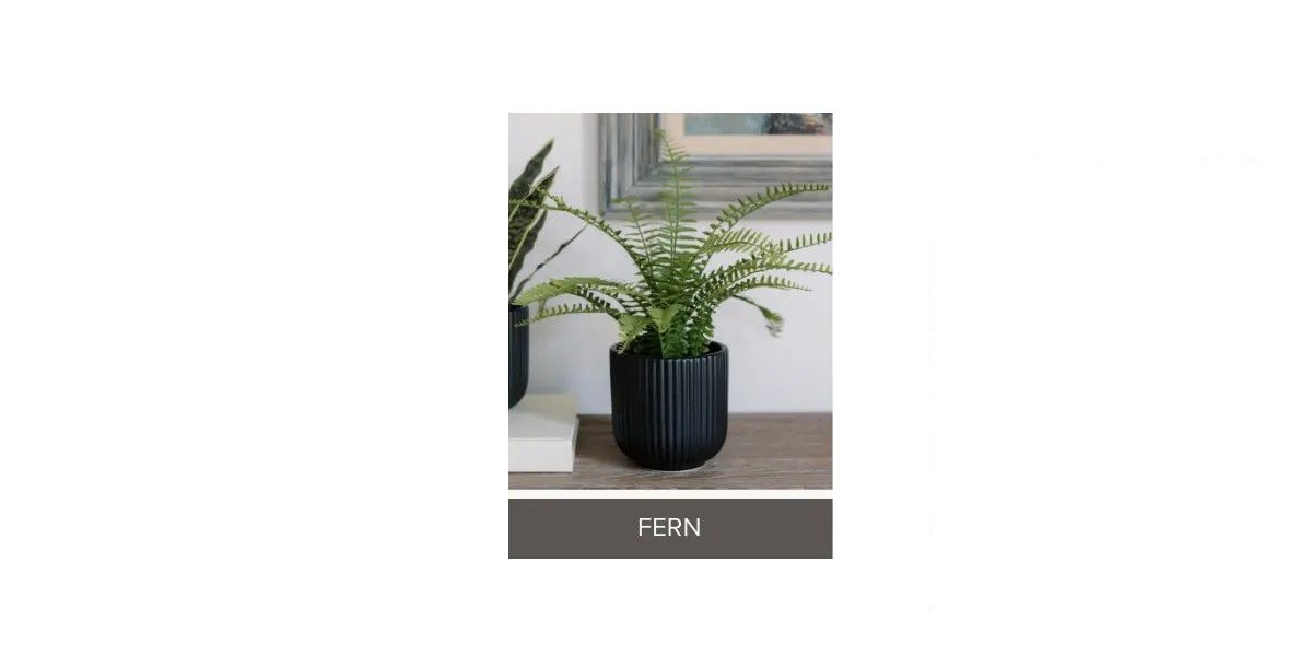 CGH Faux Decorative Plant 3Pk Planter Snake Fern Prayer Plant Zero Maintenance