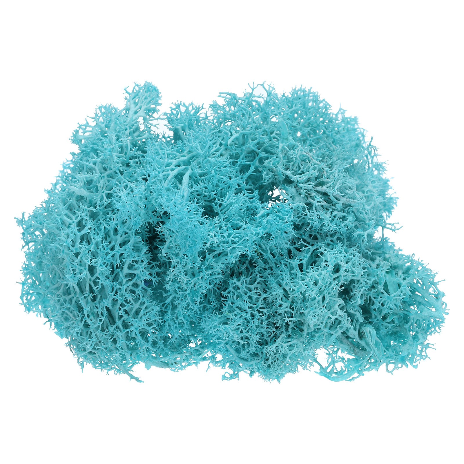7 OZ Fake Moss, Preserved Decorative Moss with Box for Potted Plants, Dark Blue