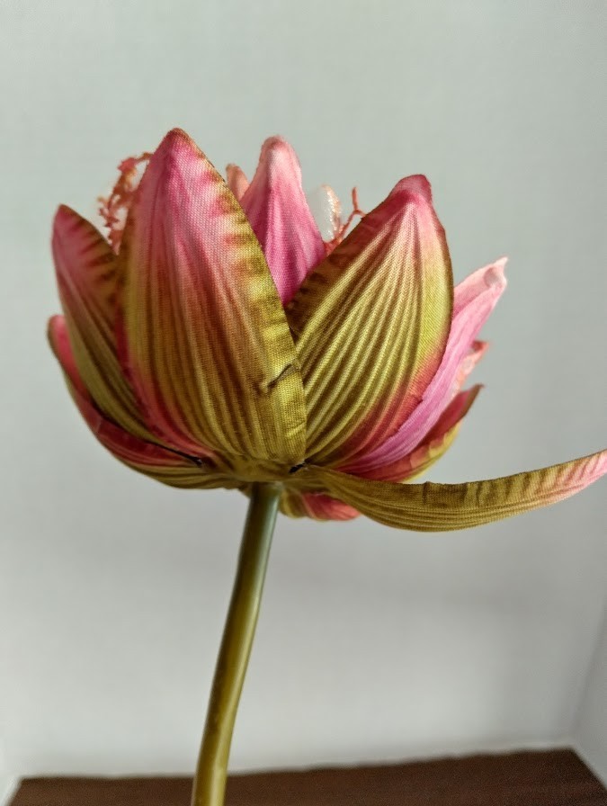 Natural Feel lotus flower stem MAUVE