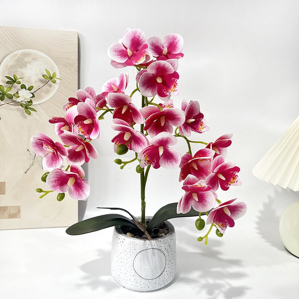 Synthetic Butterfly Orchid in Matte Cement Pot for Modern Farmhouse Decor Style