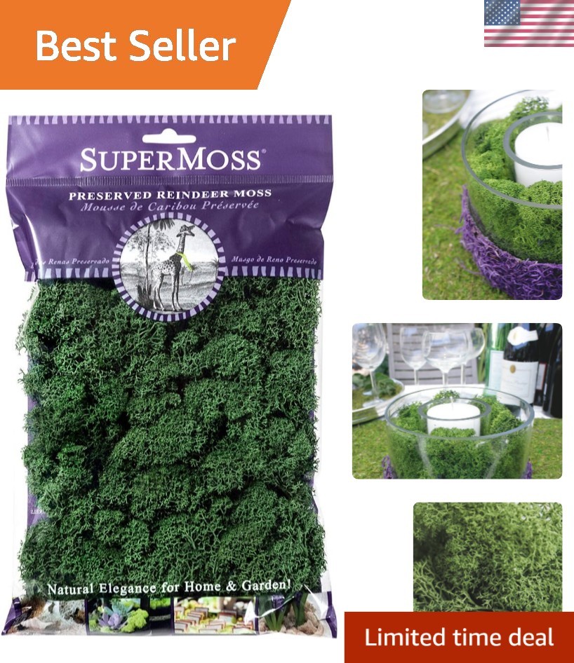 Beautifully Preserved 2oz Reindeer Moss – Forest Green for Decorating & Crafts