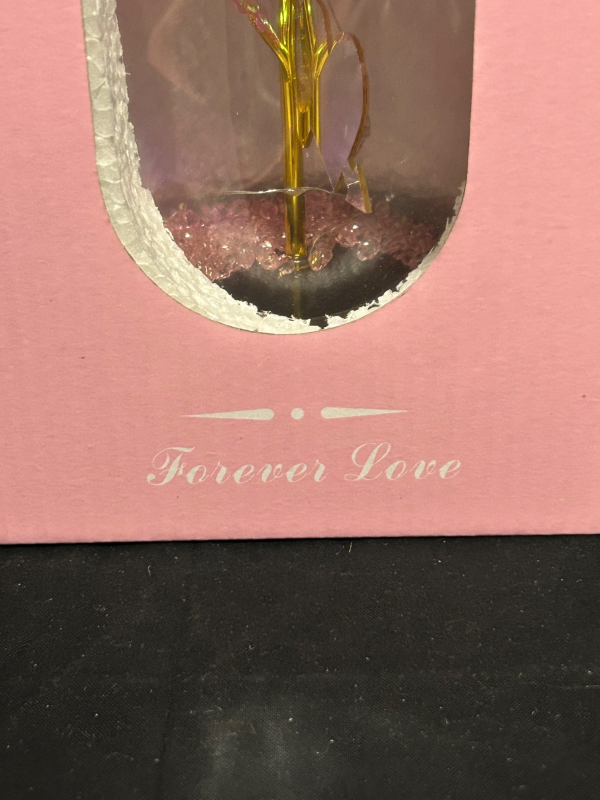 Forever Love LED Light Up Encased Rose