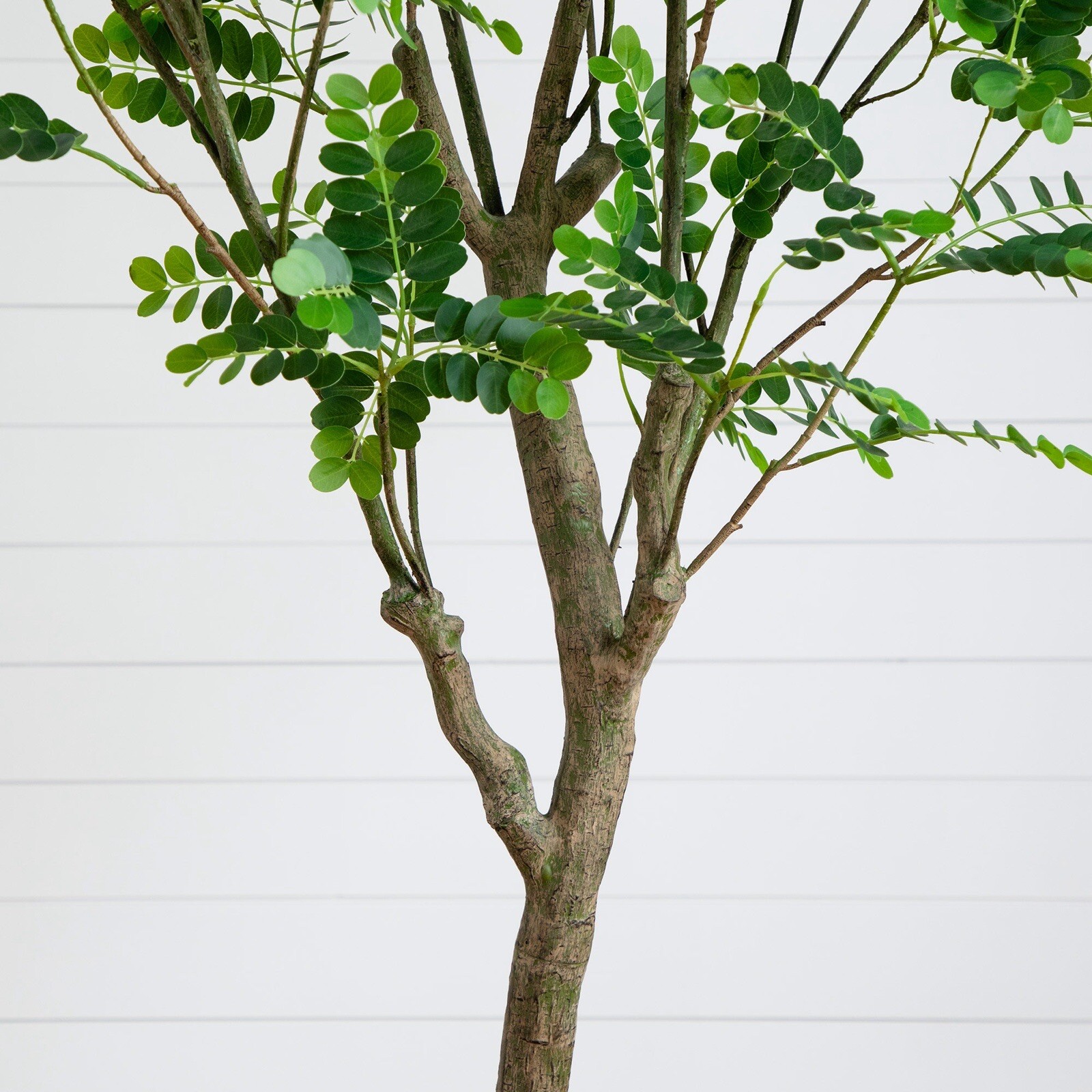 7′ Artificial Greco Citrus Tree with Real Touch Leaves Home Decor. Retail $329