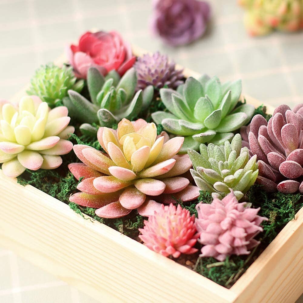 16 Pack Hassle-Free Flocked Succulent Plants – Fresh, No Maintenance Decoration