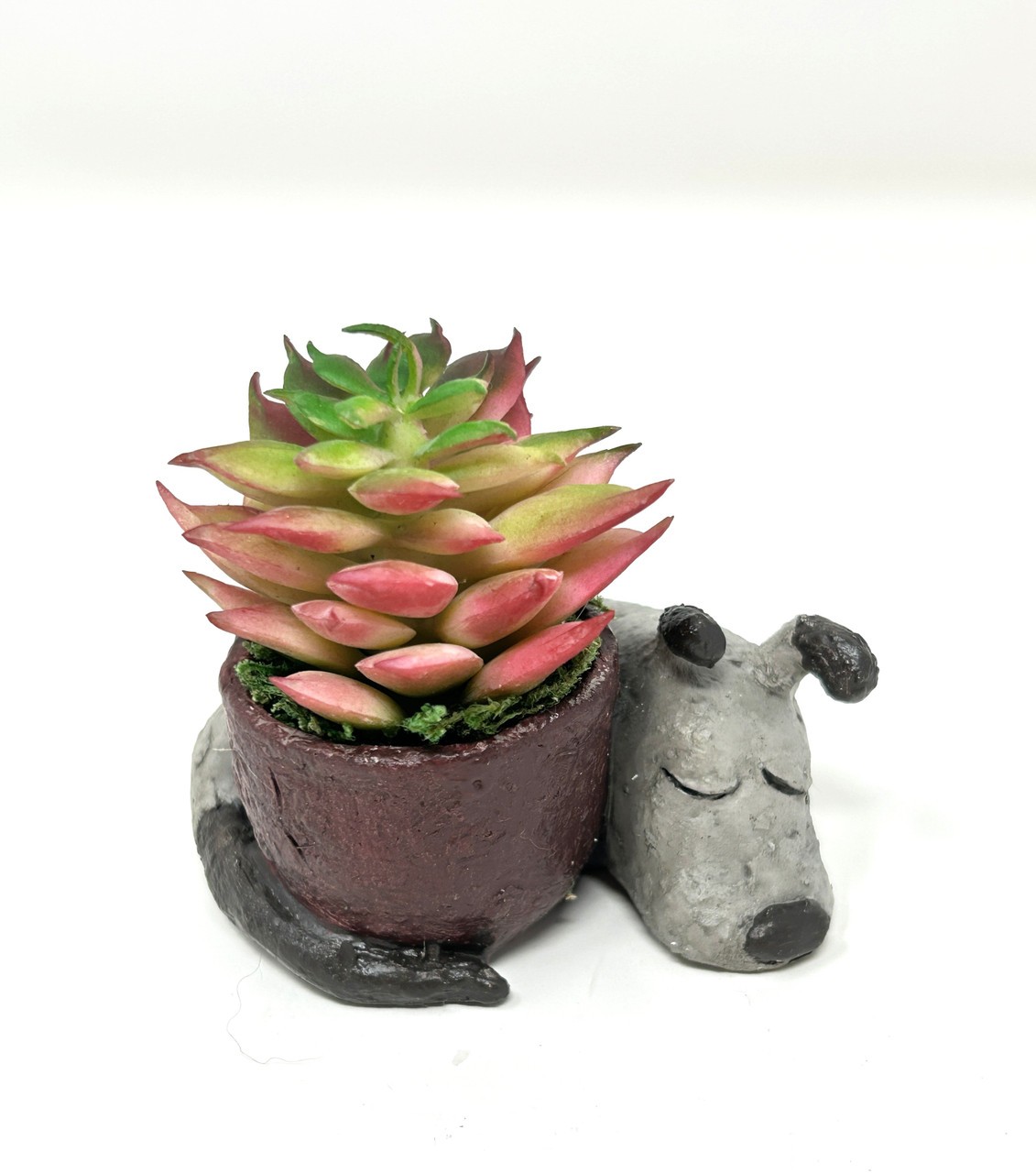 2.5″ Potted Baby SLEEPING DOG Blob House Mini pot WITH faux Red-Green Succulent