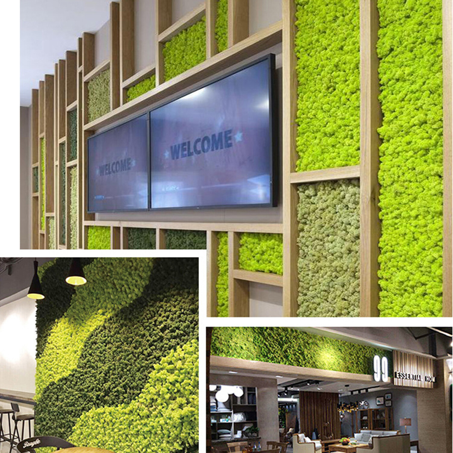 Preserved Moss Wall Decor Real Preserved Moss No Maintenance Required Z4F9