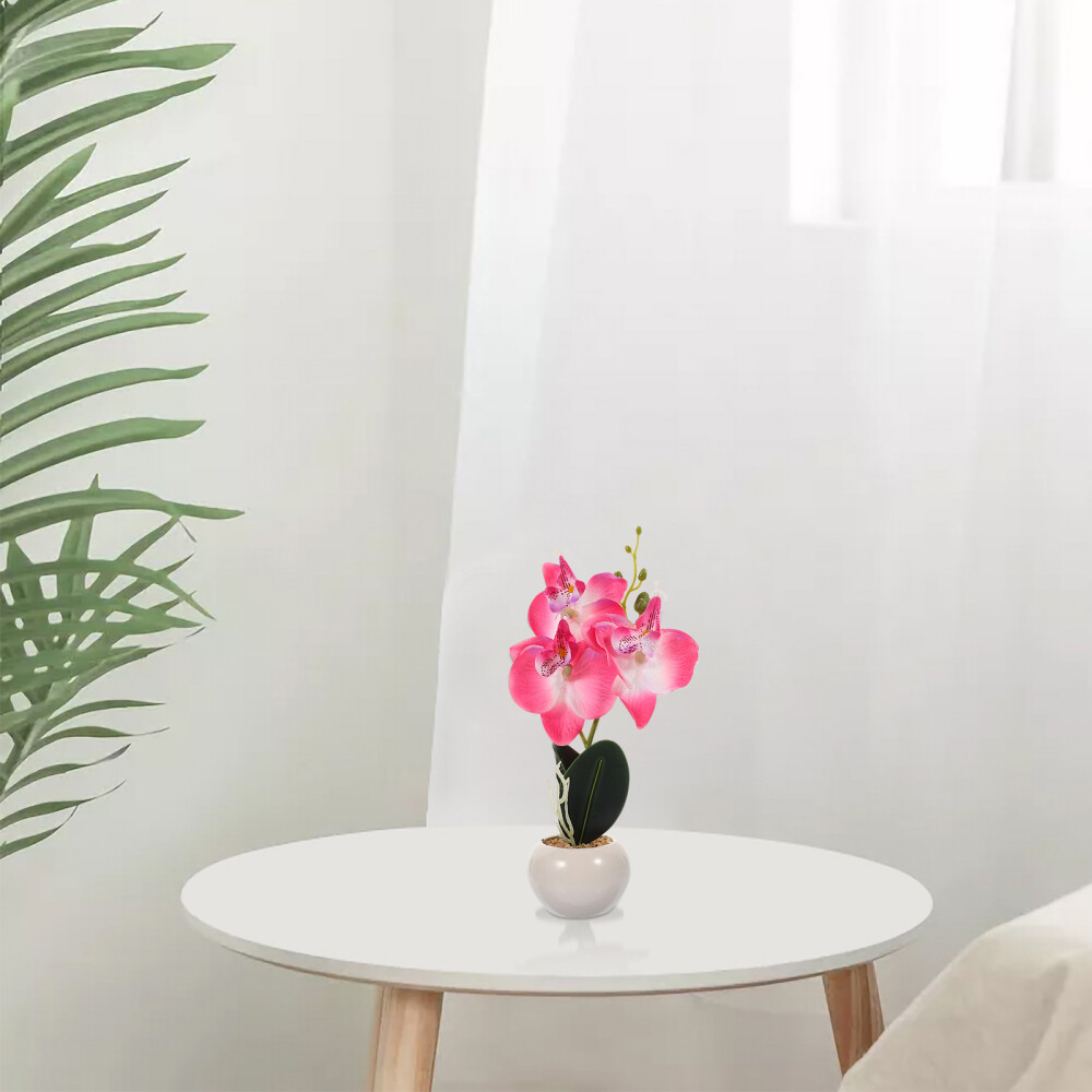 Phalaenopsis Bonsai Prop Simulation Phalaenopsis Plant Fake Phalaenopsis Decor