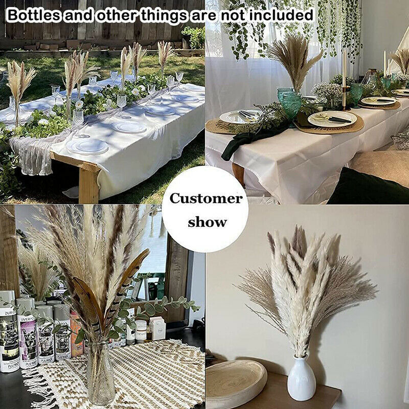 Natural Dried Plants Flower Bouquet Pampas Grass Reeds for DIY Boho Decor Home