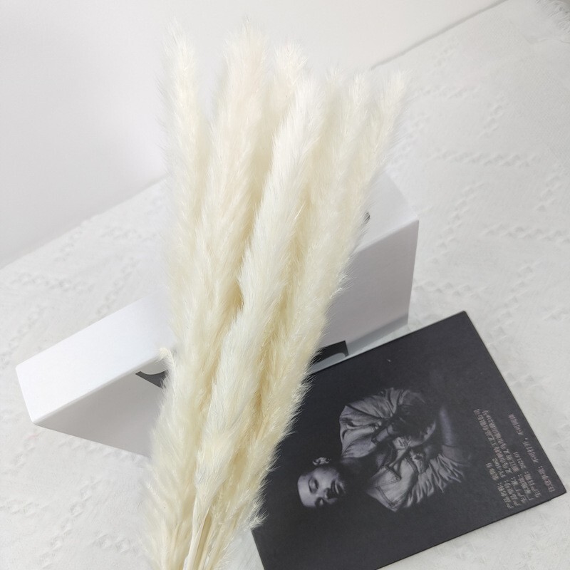 45PCS Natural Dried Pampas Grass 24 In. Reed Flower Wedding Bouquet Home Decors