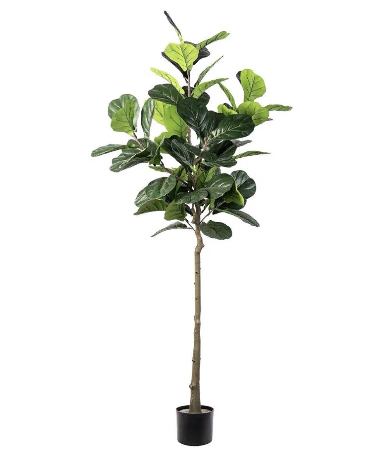 Wildwood & Cypress 60” Realistic Olive Tree Variegated Foliage Faux Indoor Plant
