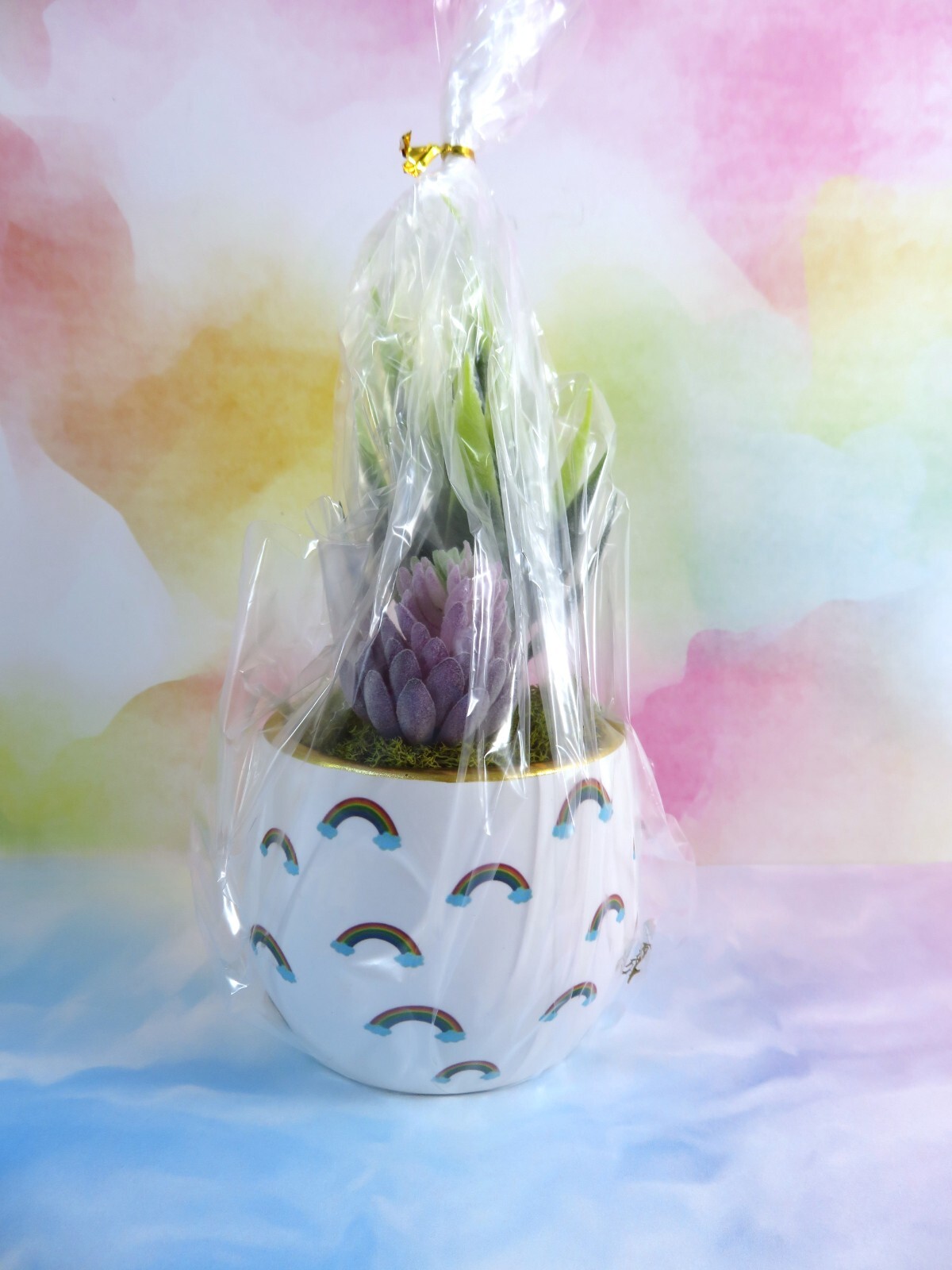 Mini Rainbows Ceramic Planter With Artificial Succulents Gold Rim 2.5 Inch New
