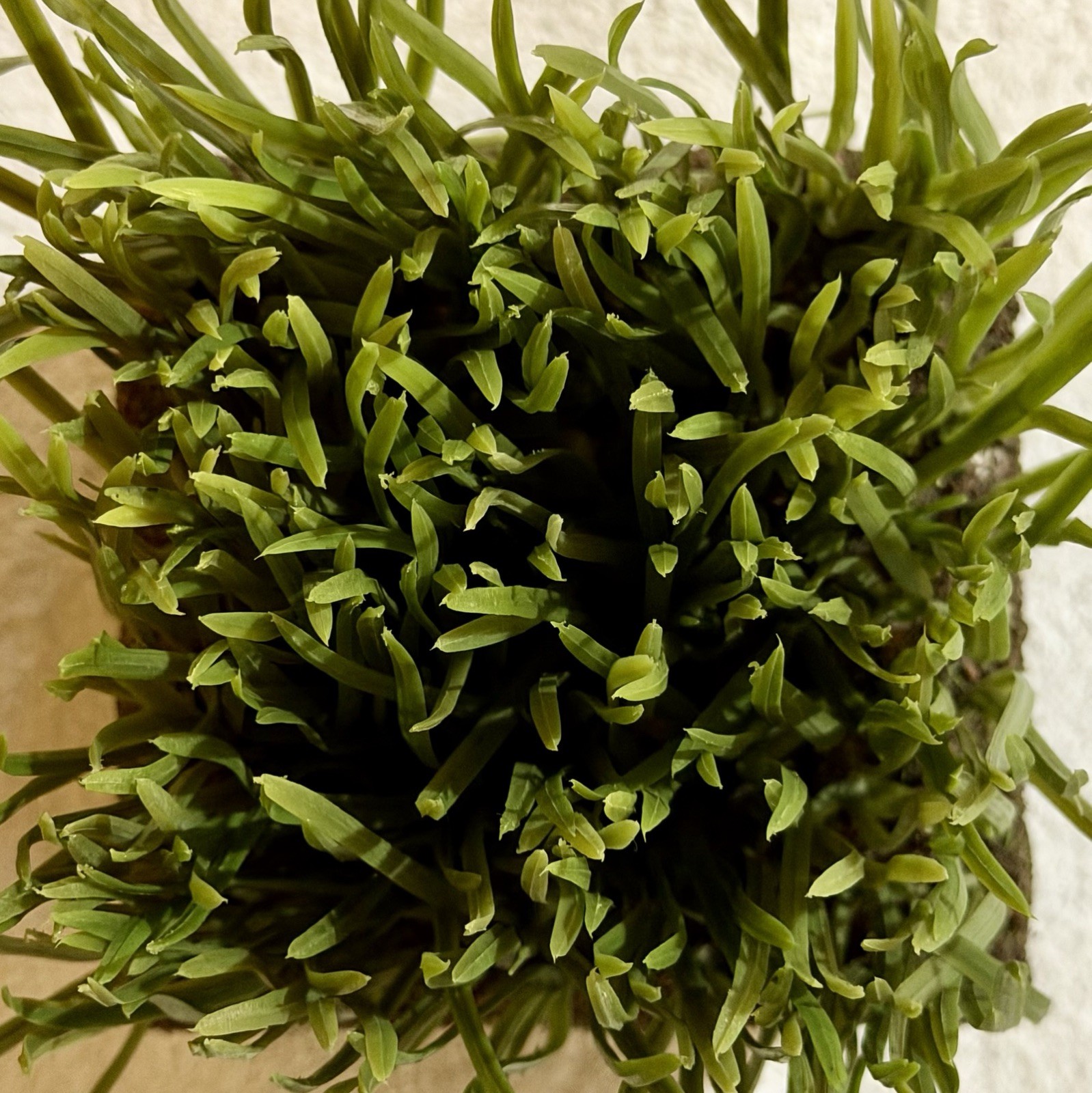 Faux Grass & Soil & Roots in a Styrofoam Block Fake Turf Sod Florist Plant Decor