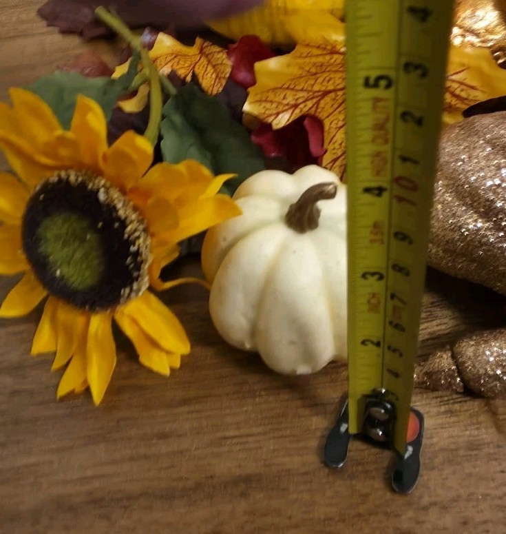 Great Lot of Decorative Fall Autumn Pumpkins Acorns Berries Bowl Vase Filler #1