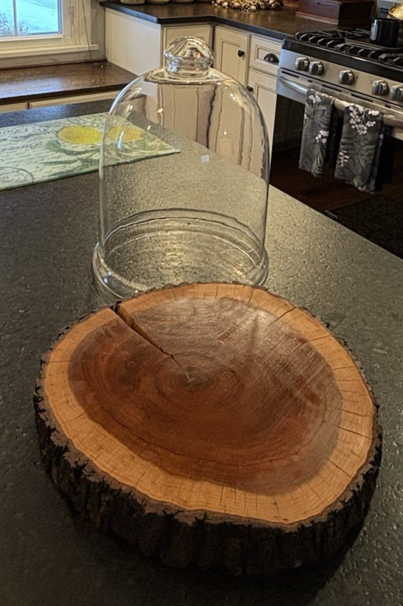 Glass Terrarium Cloche Dome Cover with Top Knob Rustic Wood Base Live Edge