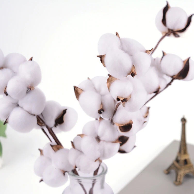 Natural Dried Cotton Stems Farmhouse Artificial Flower Floral home Decor New