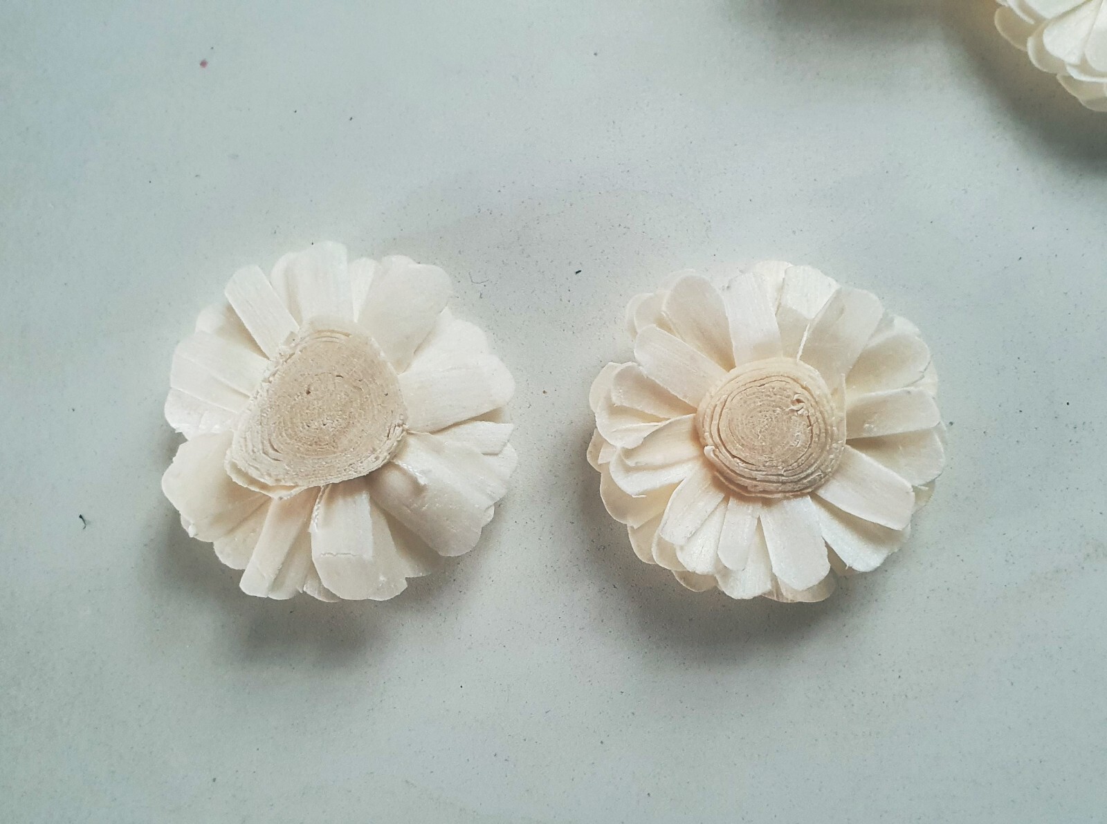 15 White Daisy Sola Wood Flower Diffuser Flowers 5 cm Dia. For Decorate Craft