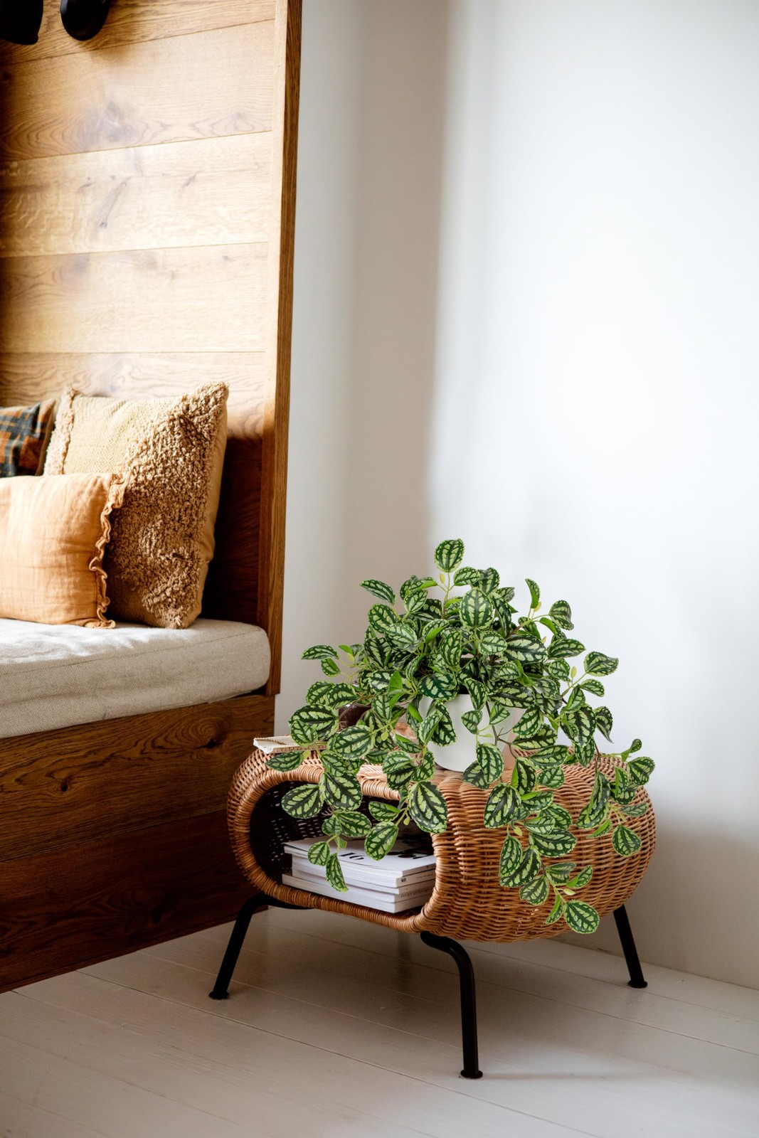 Faux Plant Indoor, 17.7″ Artificial Watermelon Peperomia Trailing Plant in Wh…