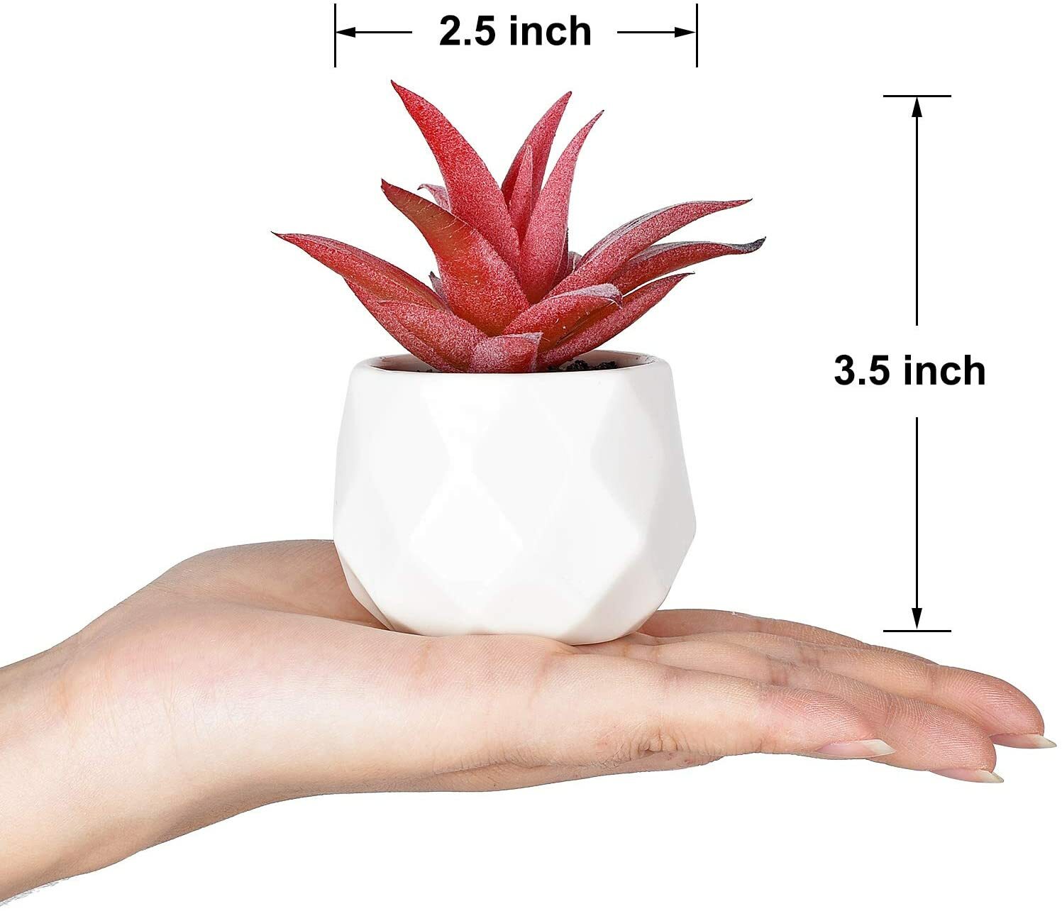 6 Pack Artificial Succulent Plants Lvydec Mini-Sized Fake Succulent Plants (E)