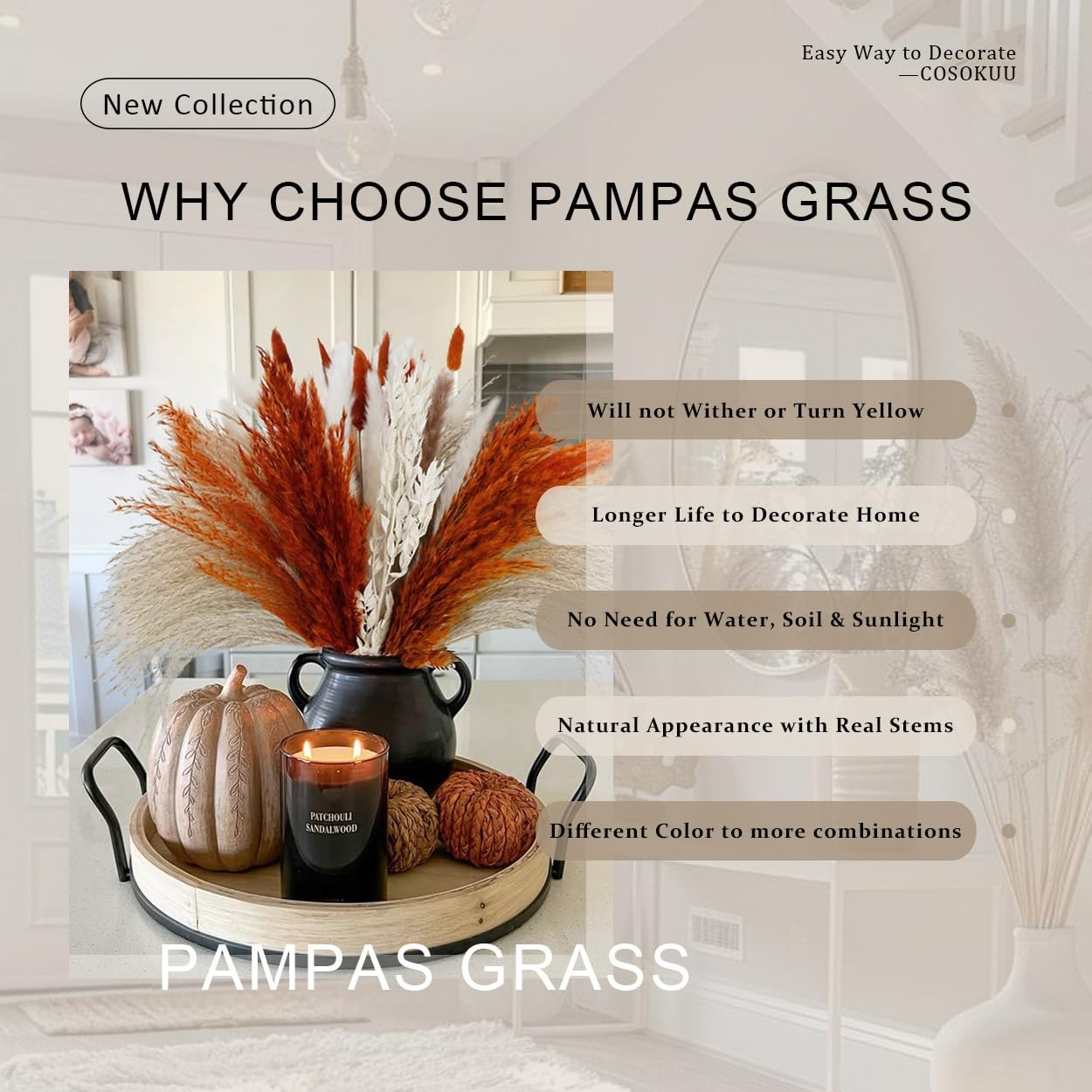 Pampas Grass Dried Flowers for Vase, Burnt Orange Pampas Grass Boho Home Deco…