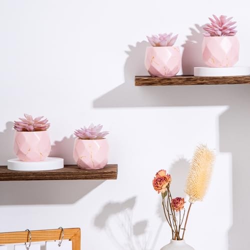 ZENIDA Artificial Succulent Plants in 4 Pink Ceramic Pots, Cute Fake Plants