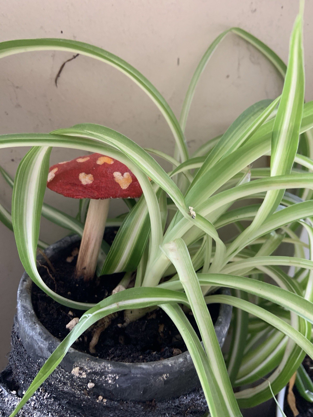 ForRaged Mushroom Ornaments For Plants! Great Plant Lover Gift Whimsical